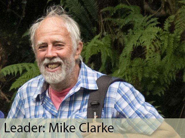 Leader: Mike Clarke